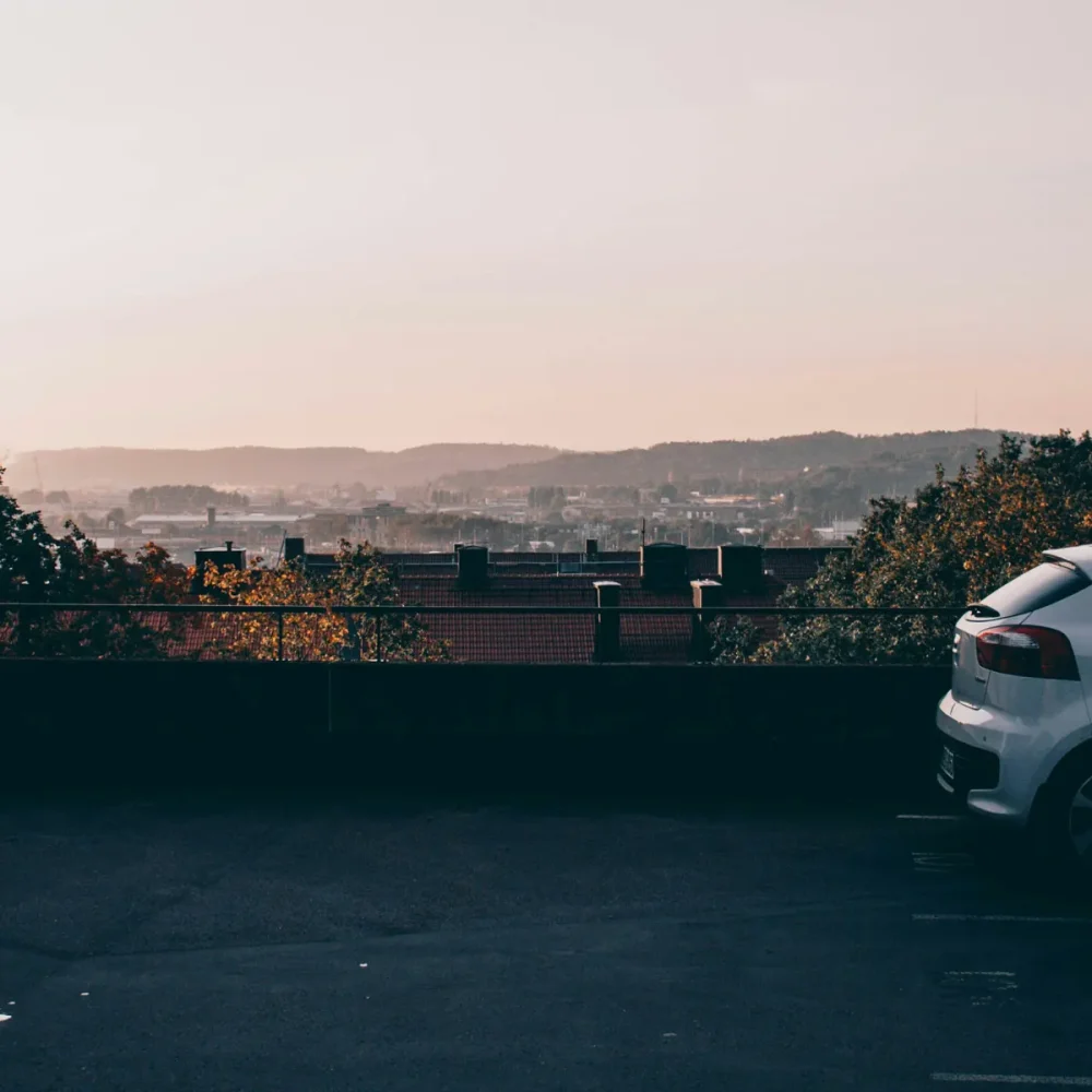 banner-good-advice-17