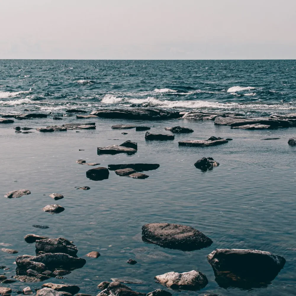 banner-good-advice-18