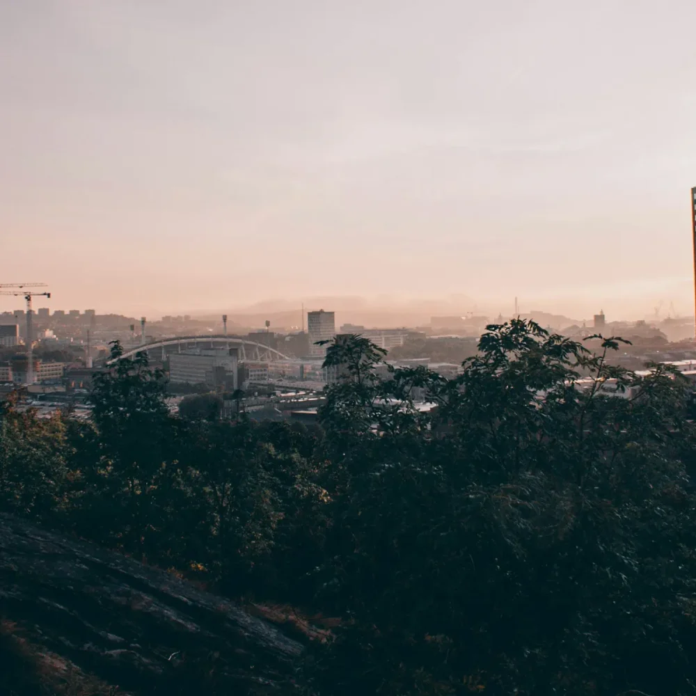 banner-good-advice-22