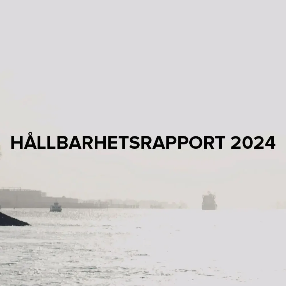 https___a.storyblok.com_f_228920_1920x1080_acca3dbee4_hallbarhetsrapport (1)